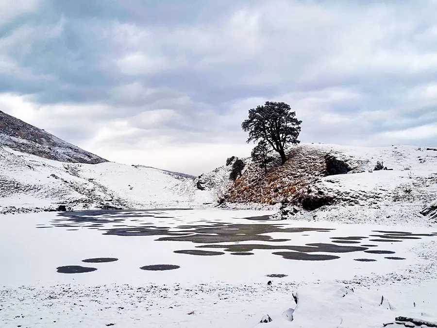 Brahmatal Trek - A Winter Paradise