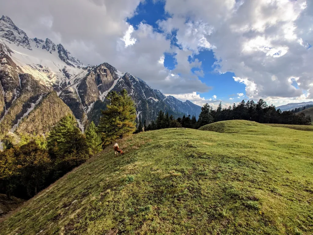 Dayara Meadows