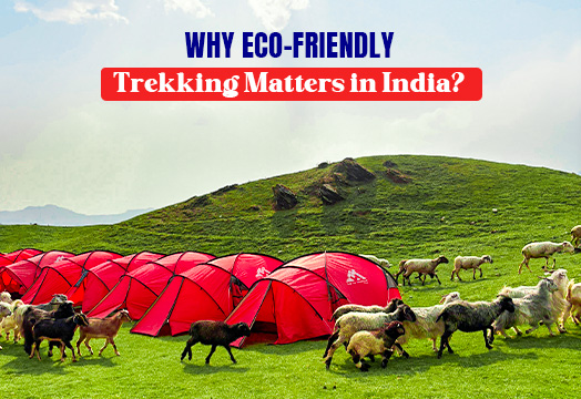 Best Trekking Company in India