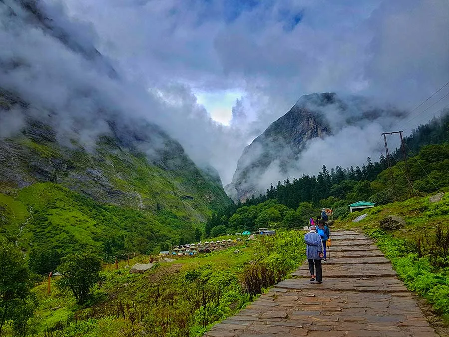 Valley of Flowers