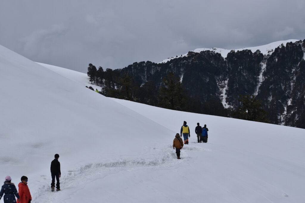dayara bugyal trek cost