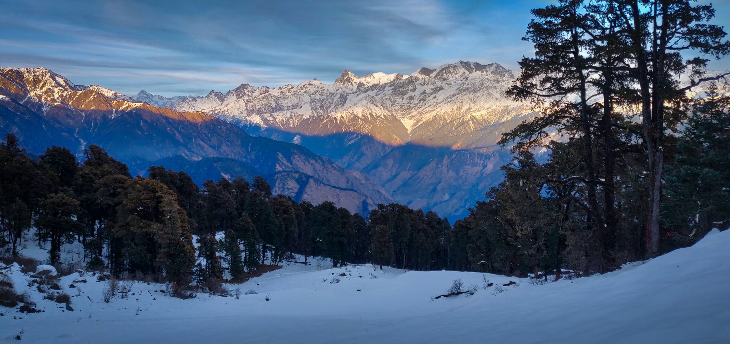 Dayara Bugyal Tre in December