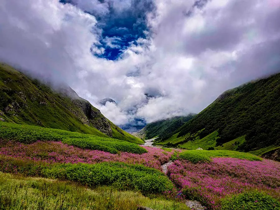 Valley of flowers trek cost